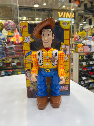 ربط راه رو وودی